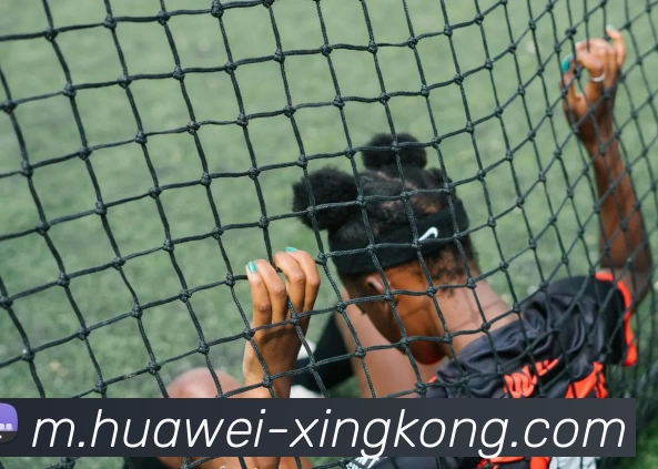 星空体育平台生态图