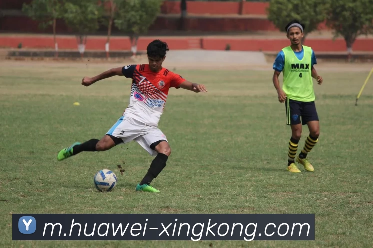 星空体育APP 封面图